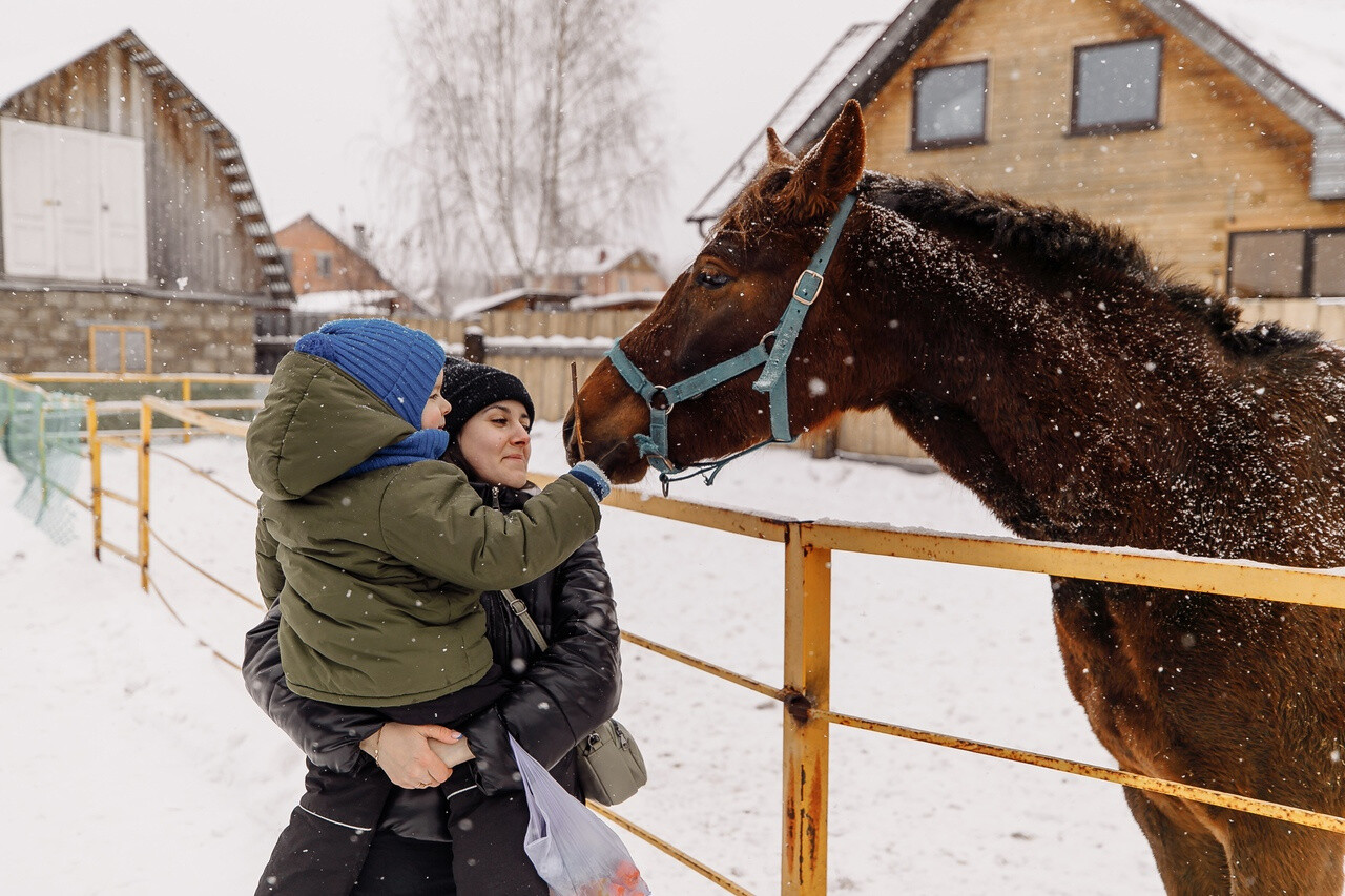 Для семей мобилизованных из Орехово-Зуевского округа организовали экскурсию в конно-спортивный клуб