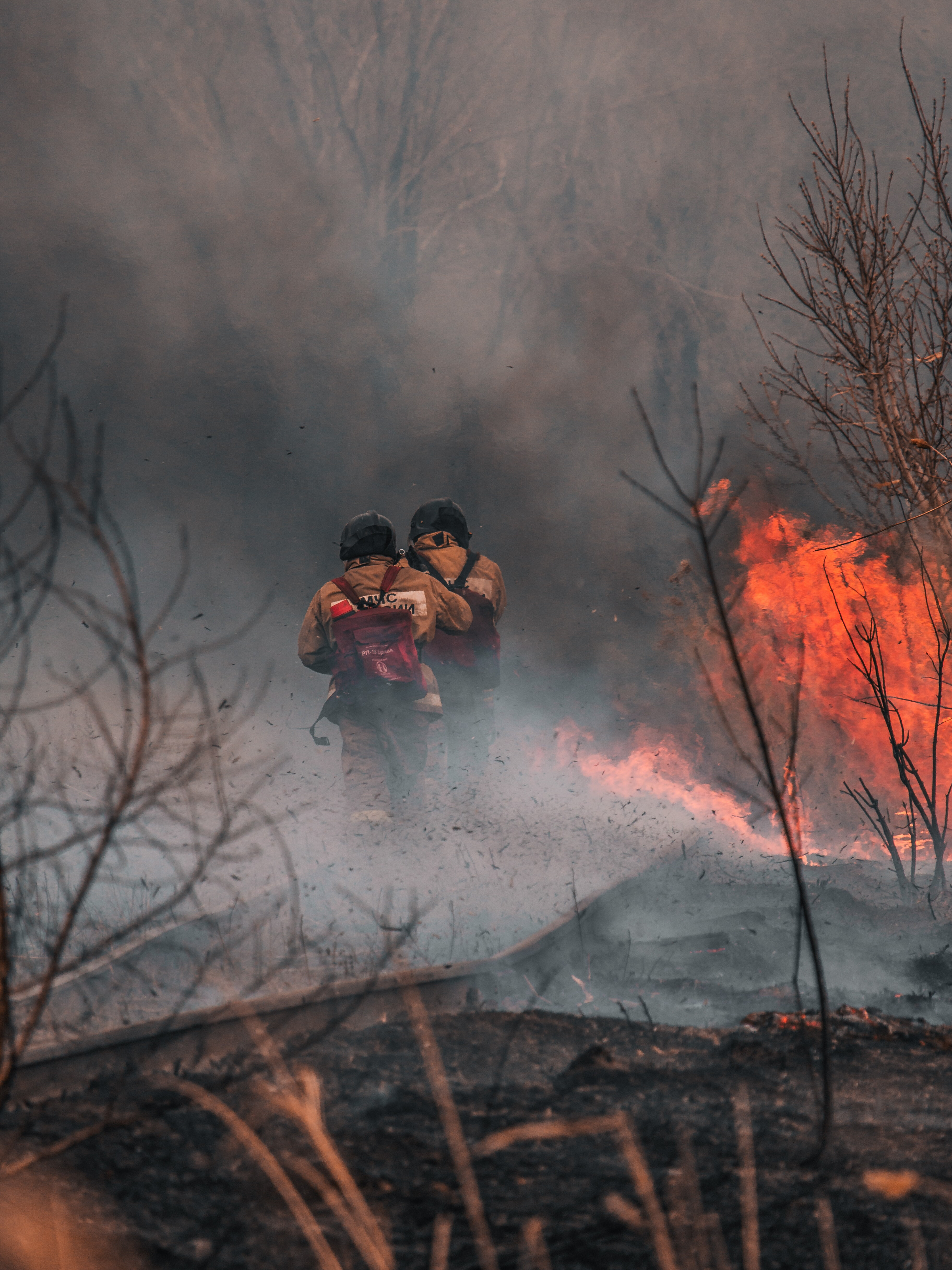В лесах Орехово-Зуевского округа ожидается II класс пожарной опасности