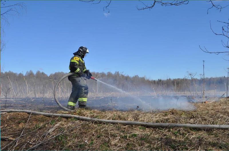 Пожарные ликвидировали 1592 возгорания сухой растительности с начала пожароопасного сезона