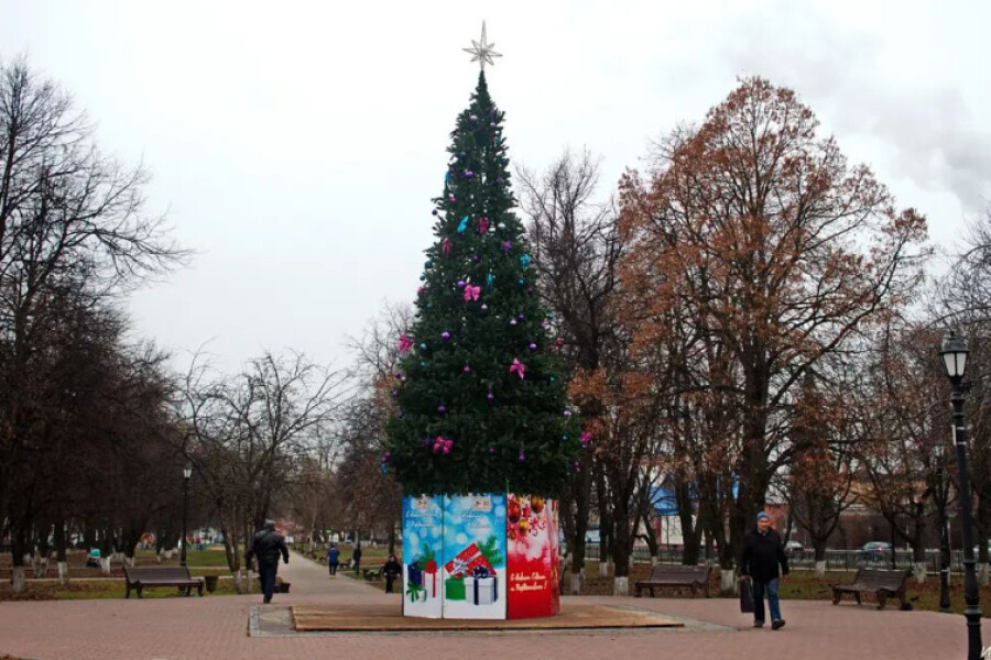 Фотофакт: в Ликино-Дулеве и деревне Кабаново установили новогодние елки