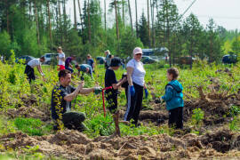 В Орехово-Зуевском городском округе прошла акция «Лес Победы»