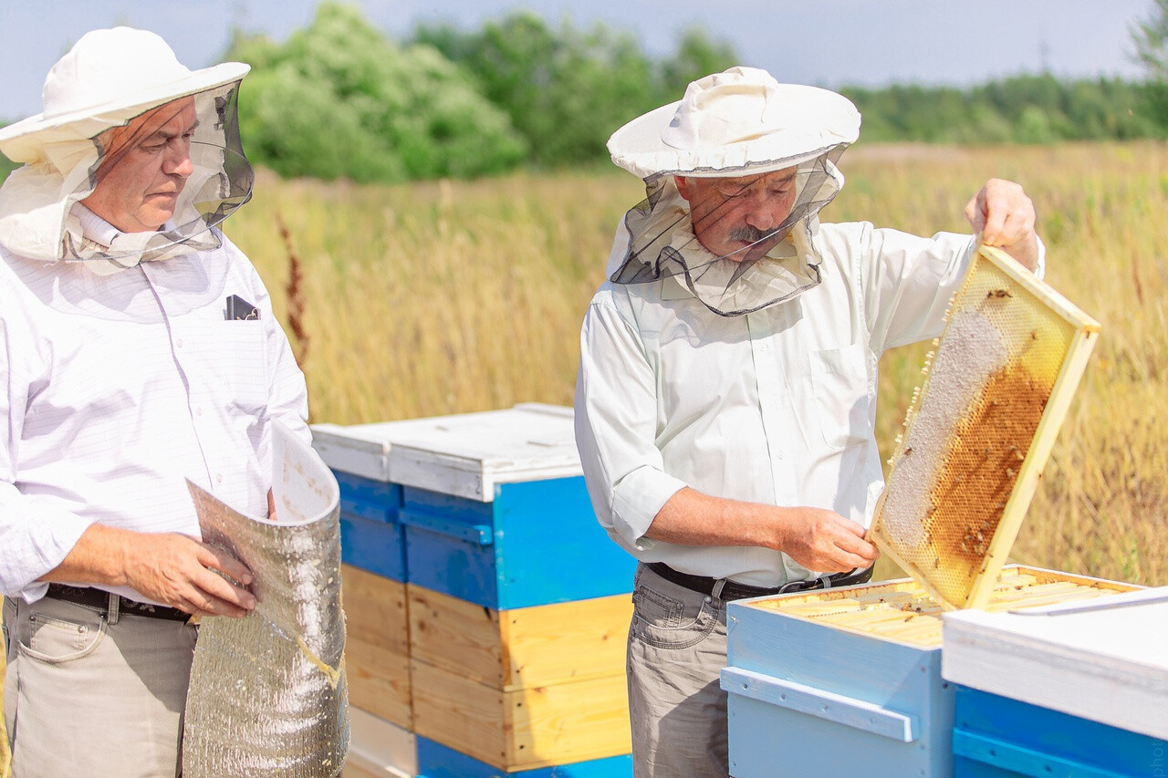 Первый сладкий урожай соберут пчеловоды, которые организовали пасеку близ д. Тереньково