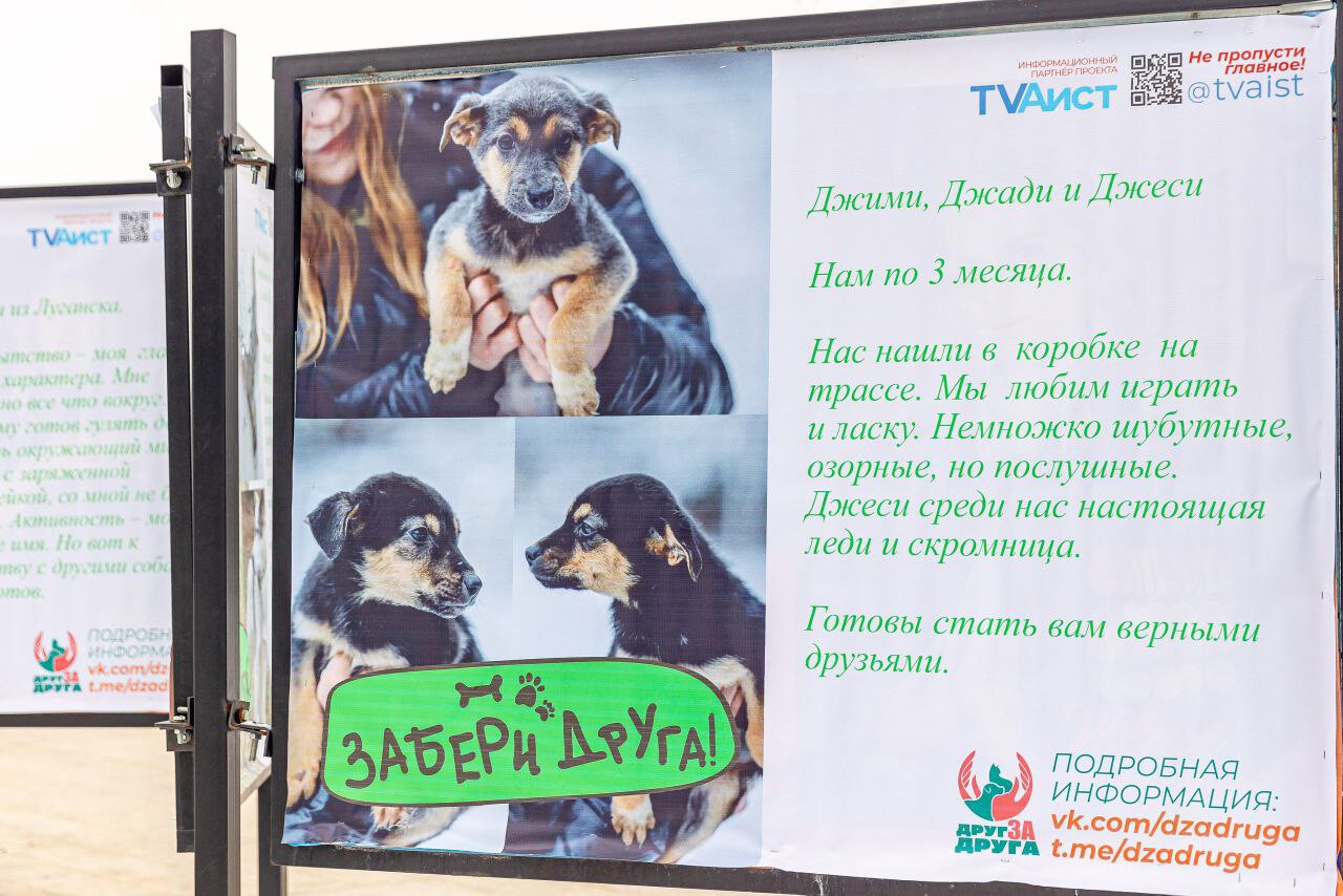 «Забери друга» — новая фотовыставка в Парке Победы в г. Орехово-Зуево