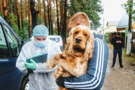 График вакцинации собак и кошек против бешенства по Орехово – Зуевскому г. о. на май 2022 года