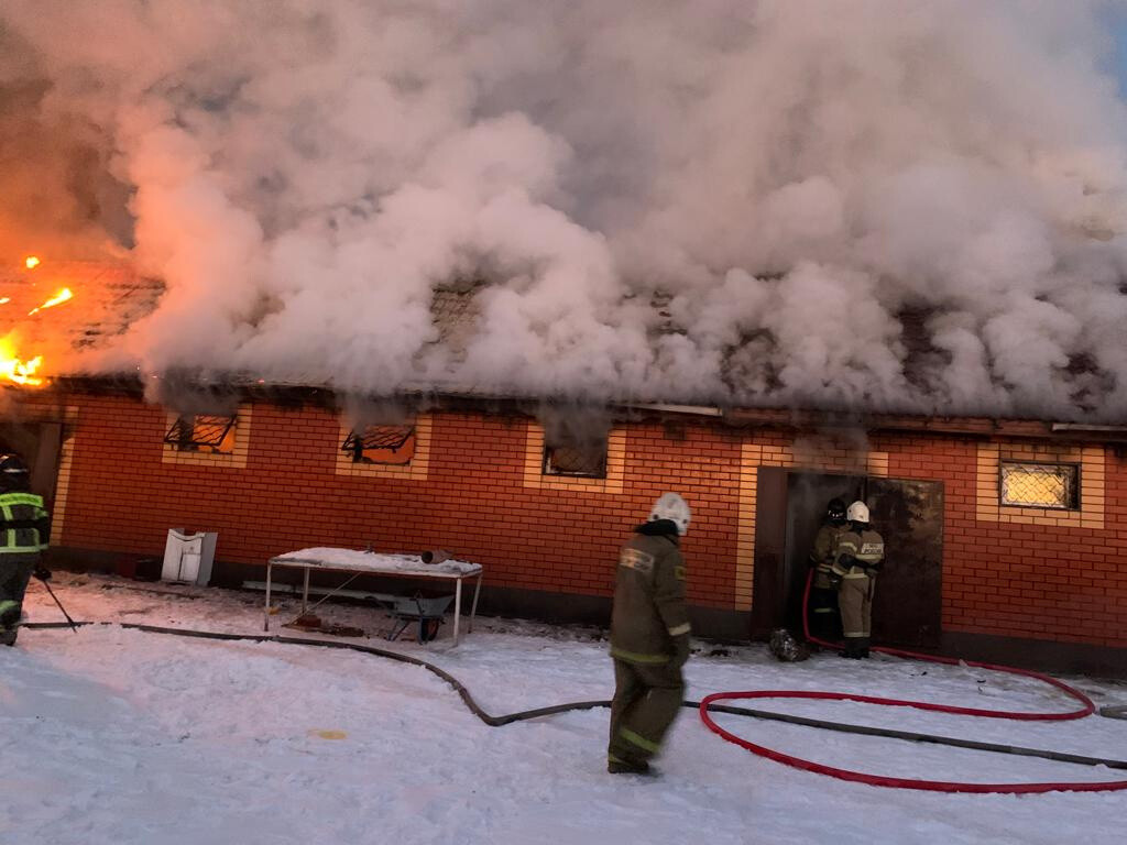 Пожар в д. Острово тушили спасатели из трех ПСЧ