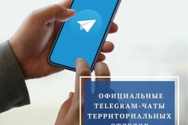 В округе работают официальные Telegram-чаты территориальных отделов