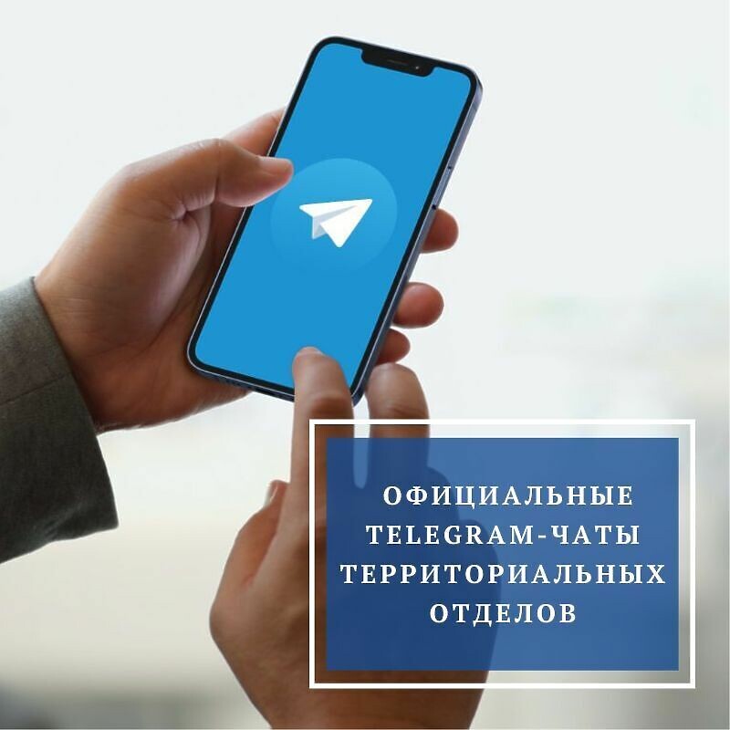 В округе работают официальные Telegram-чаты территориальных отделов