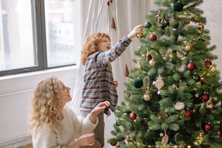 Как выбрать идеальную новогоднюю елку — советы ореховозуевцам от Роспотребнадзора