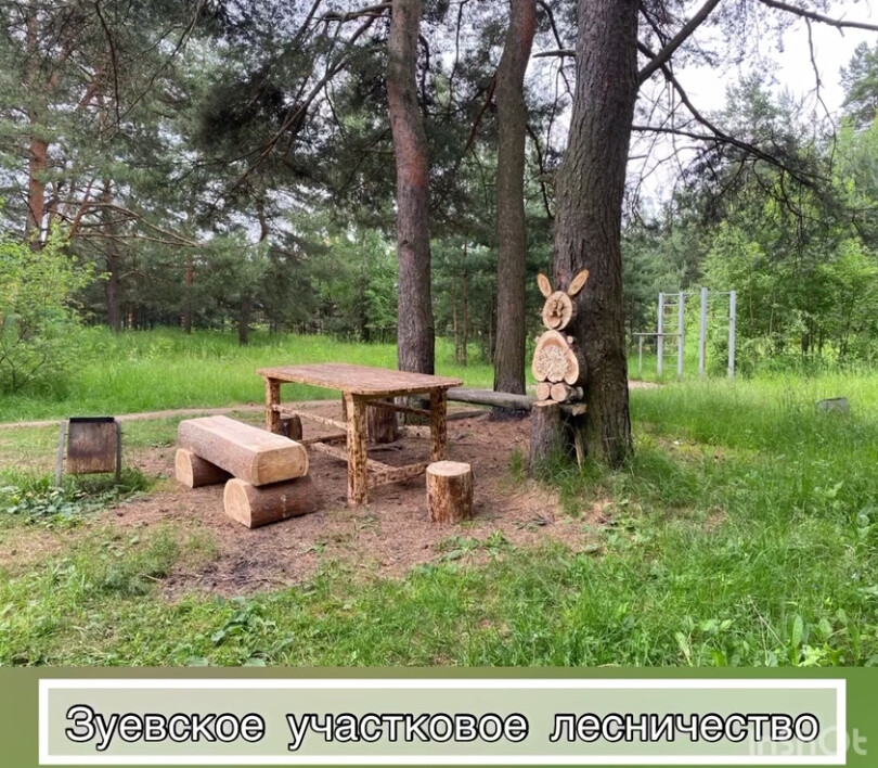 Орехово-Зуевское лесничество — победитель конкурса по благоустройству мест отдыха в лесах Подмосковья