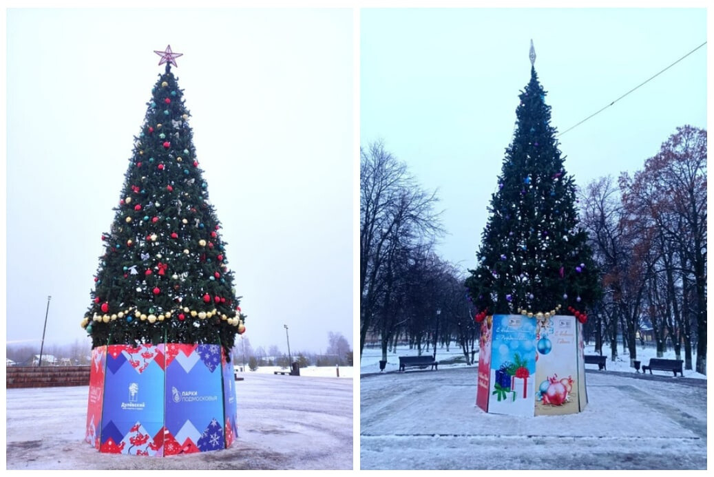 В Ликино-Дулеве появились первые новогодние елочки