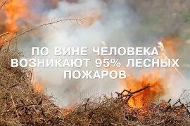 Штрафы за нарушение пожарной безопасности в лесах выросли в разы — информация для ореховозуевцев