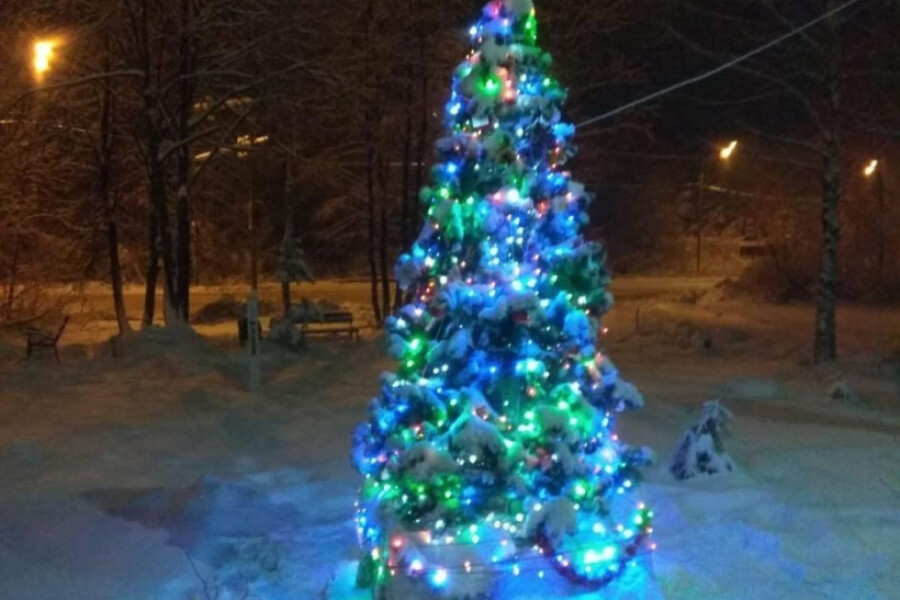 Фотофакт: во дворах города Куровское нарядили к Новому году елки