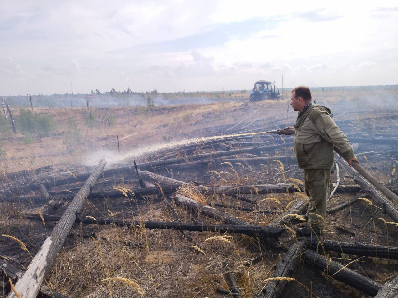 Два пожара ликвидировали в Орехово-Зуевском лесничестве за прошедшую неделю