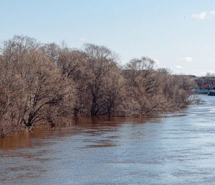 Уровень воды в реке Клязьма в районе Орехово-Зуева понизился до минимального