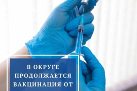 В Орехово-Зуевском округе продолжается массовая вакцинация от COVID-19