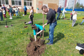 В орехово-зуевской школе посадили фруктовый сад