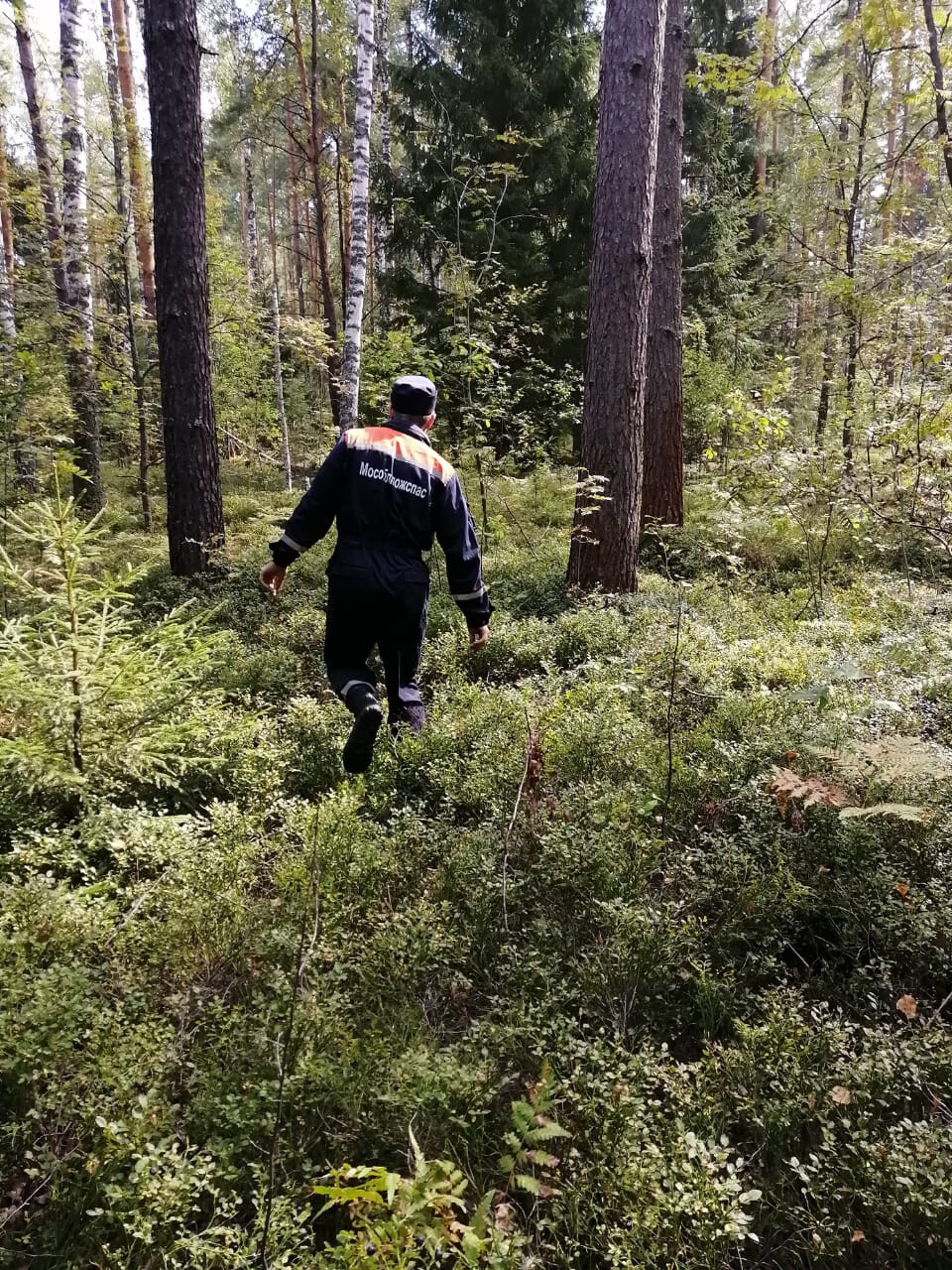 Спасатели Орехово-Зуевского округа вывели из леса двоих заблудившихся