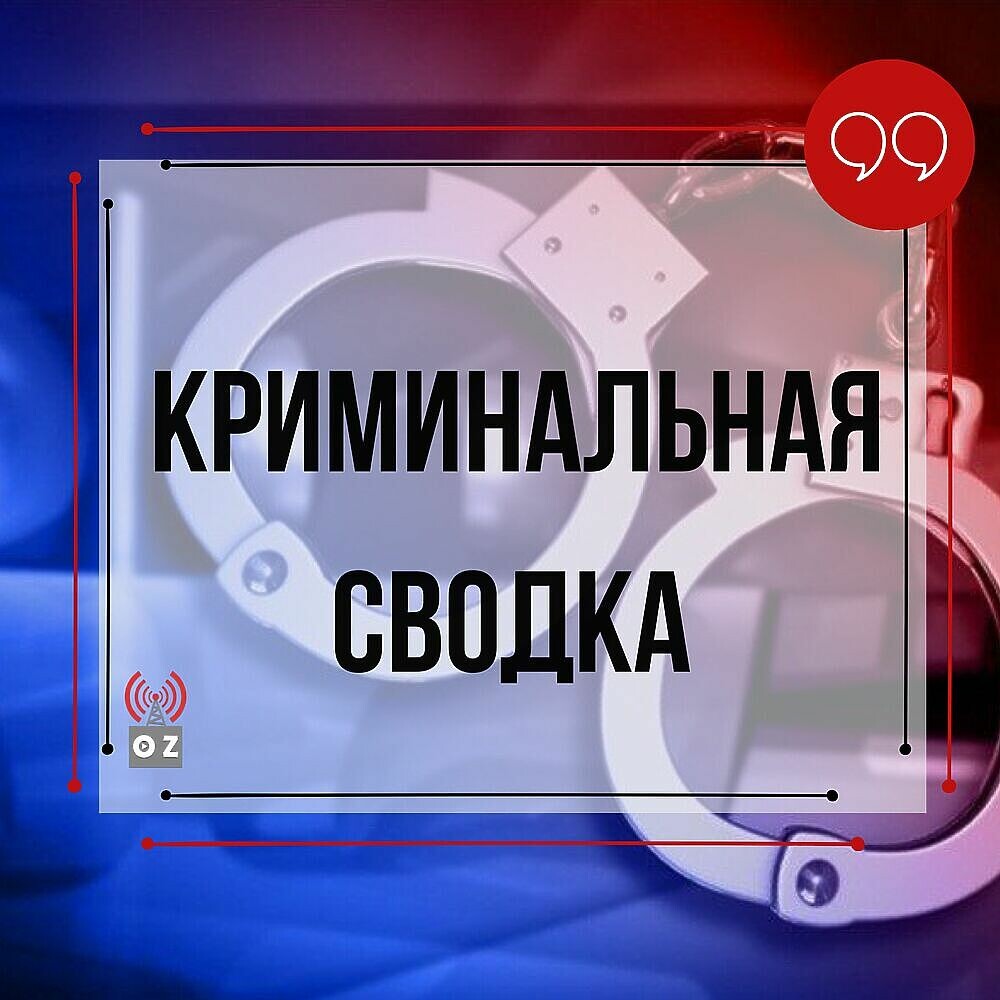 Криминальная сводка  на территории Орехово - Зуевского г. о. с 28 ноября по 4 декабря 2022 года.