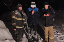 Спасатели вывели заблудившегося мужчину из Парковского леса в Орехово‑Зуеве