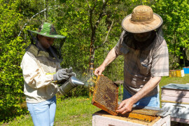 Житель Орехово-Зуевского округа Андрей Беляев продолжил семейное дело пчеловодов